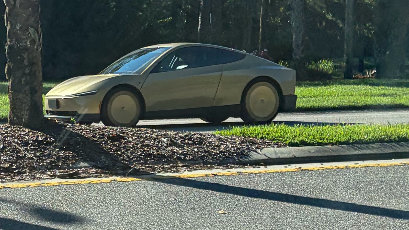 cybercab-robotaxi-tampa.jpg