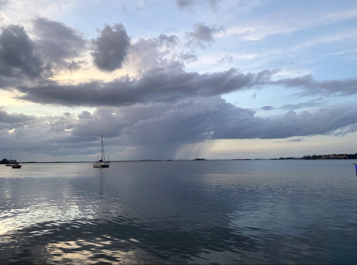 Dunedin waterfront photographed by Attorney Ron Frey